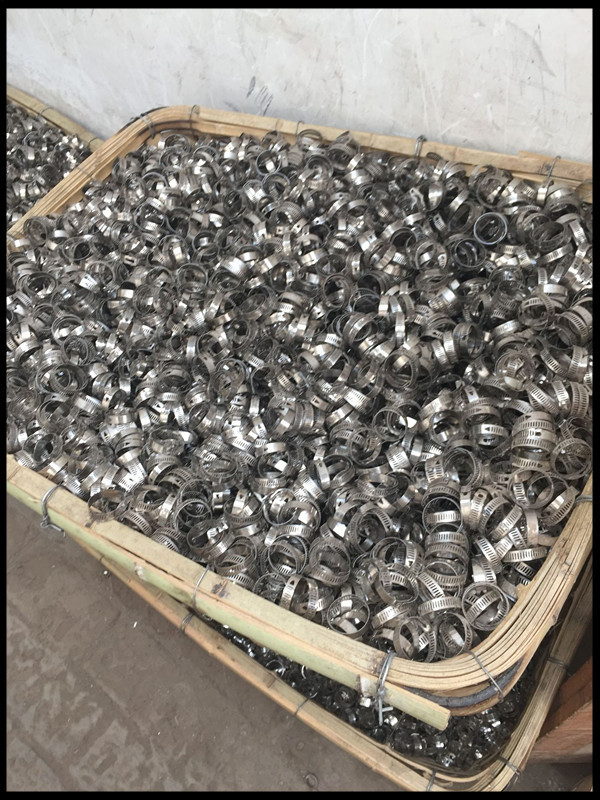 5375874103_227856353_副本