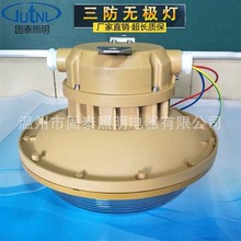 批发SBD6107-YQL40免维护节能防水防尘防腐无极灯 40W粉尘防爆灯