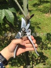 ���S�� ��sunsong�������Ɉ@�ּ��� ��֦��  ������ �h�ʼ�