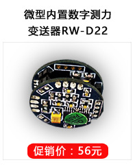 RW-1T01D-D22