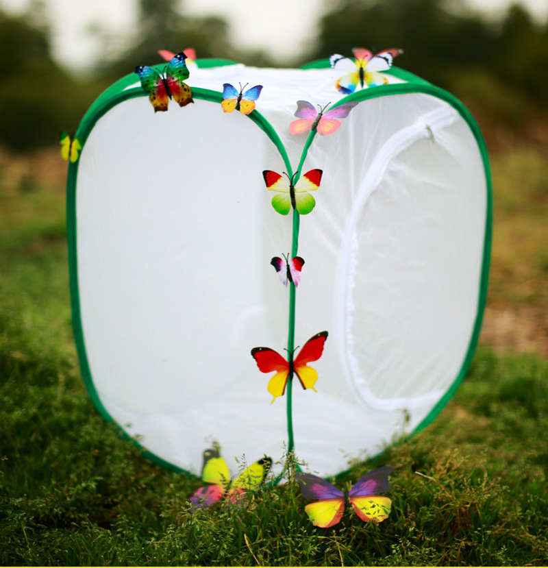 Large pet cage Folding butterfly cage pvc Botany Cultivation Conservatory insect Insect Reptile Raise