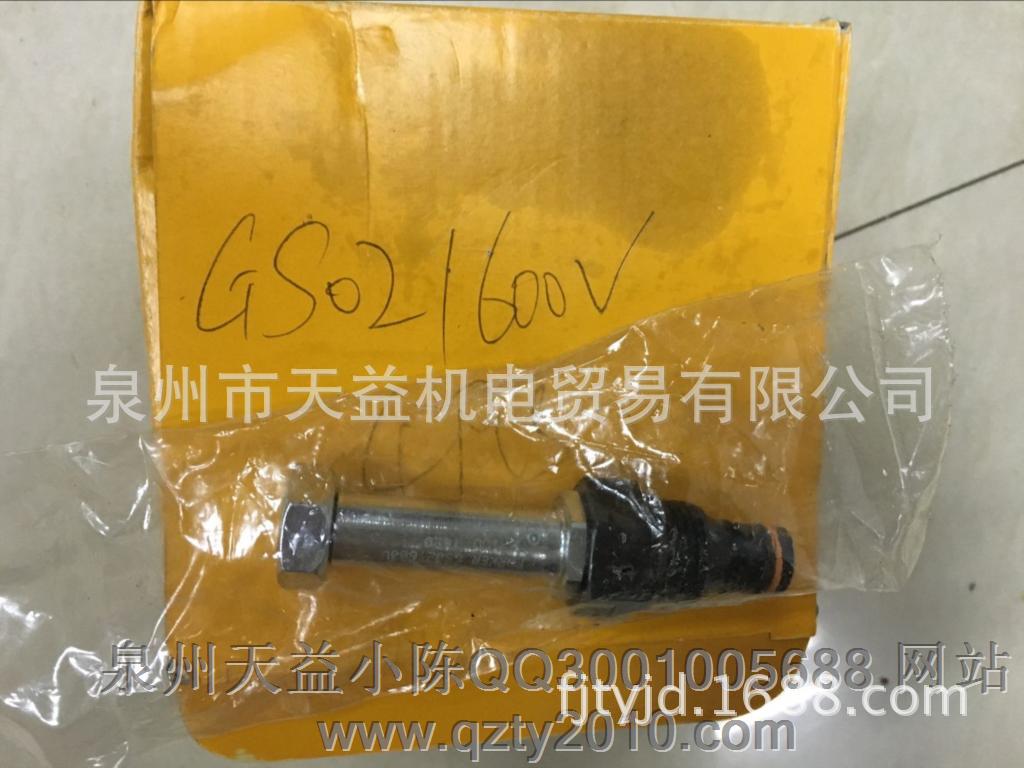 GS021600V-天益机电供应液压气动-  管件，接头，密封