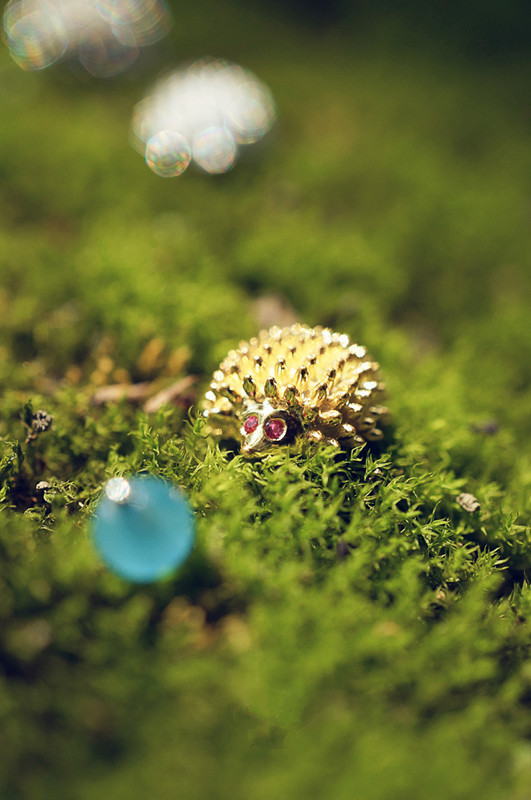 5329596574 1744051483