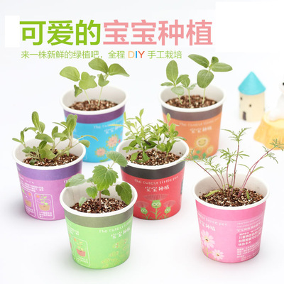創意微景觀迷妳可愛盆栽小盆景擺件 DIY辦公室桌面生態植物種子