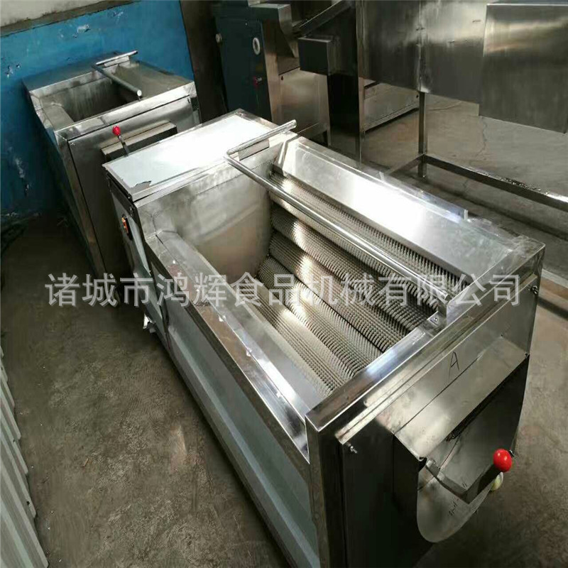 荸荠清洗机 全自动毛刷清洗机芥菜头清洗机 304不锈钢清洗机