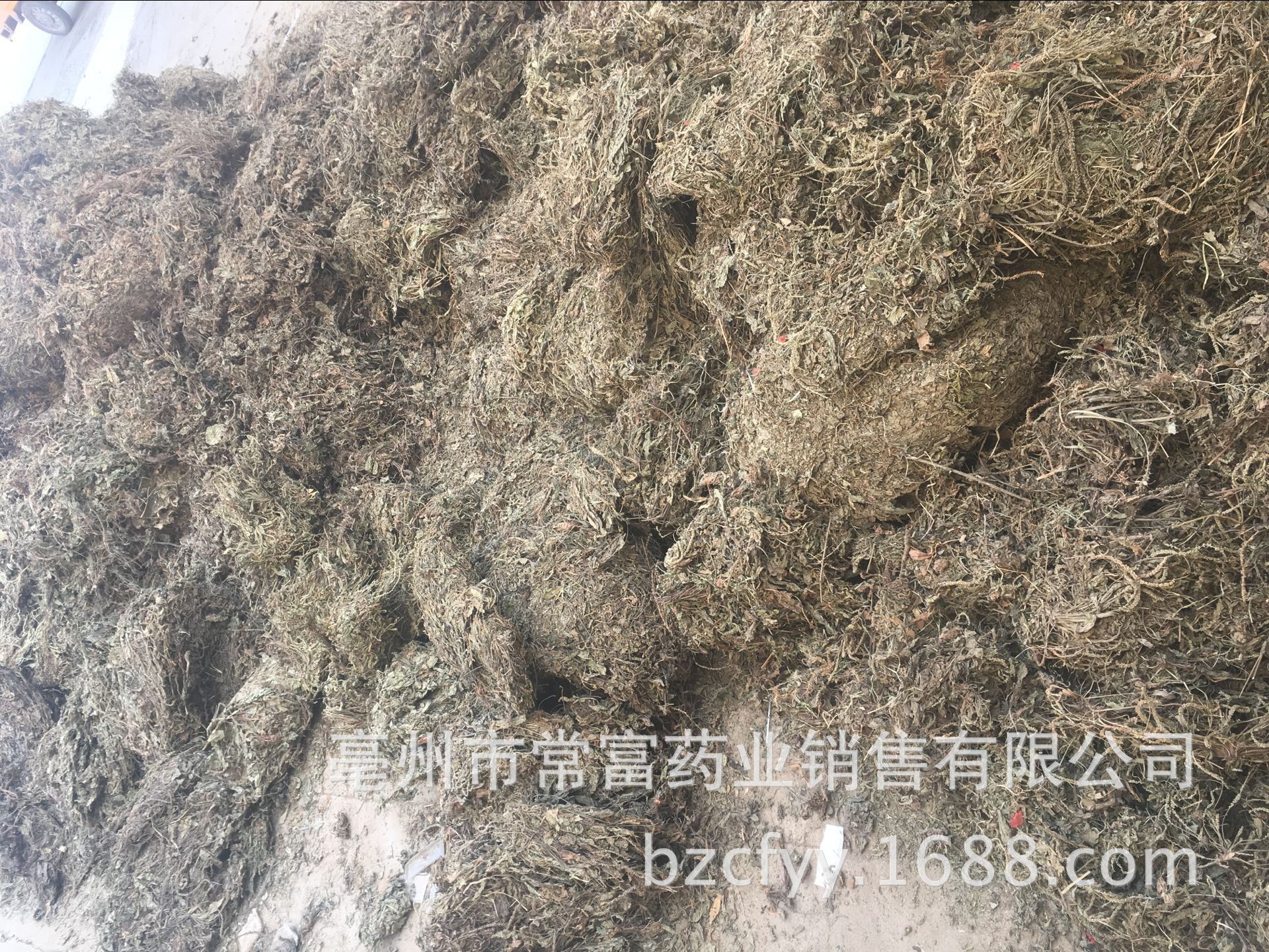 Dried Plantain Herb Che Qian Cao Whole Plant Loose Herbal Tea 500g specifications