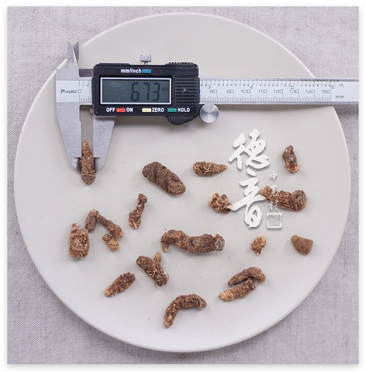 Dried Chonglou Rhizome 250g Paris Polyphylla Sichuan Origin Traditional Herbal Decoction Ingredient quality and texture