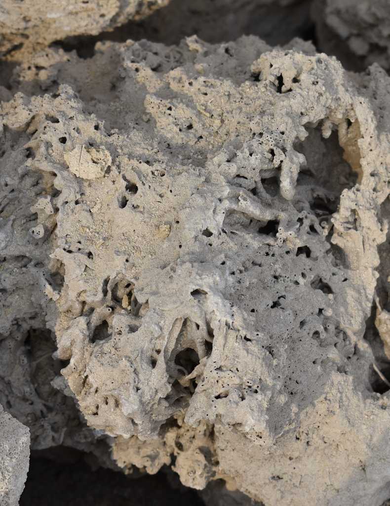 供应吸水石假山造景吸水石大块吸水石 阿里巴巴