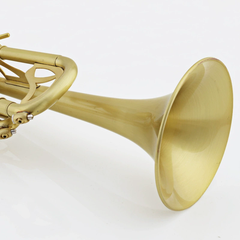 津宝 Small JBTR-450 Small Musical Instrument Brushed Matt Small Wholesale Tender Contact Customer Service