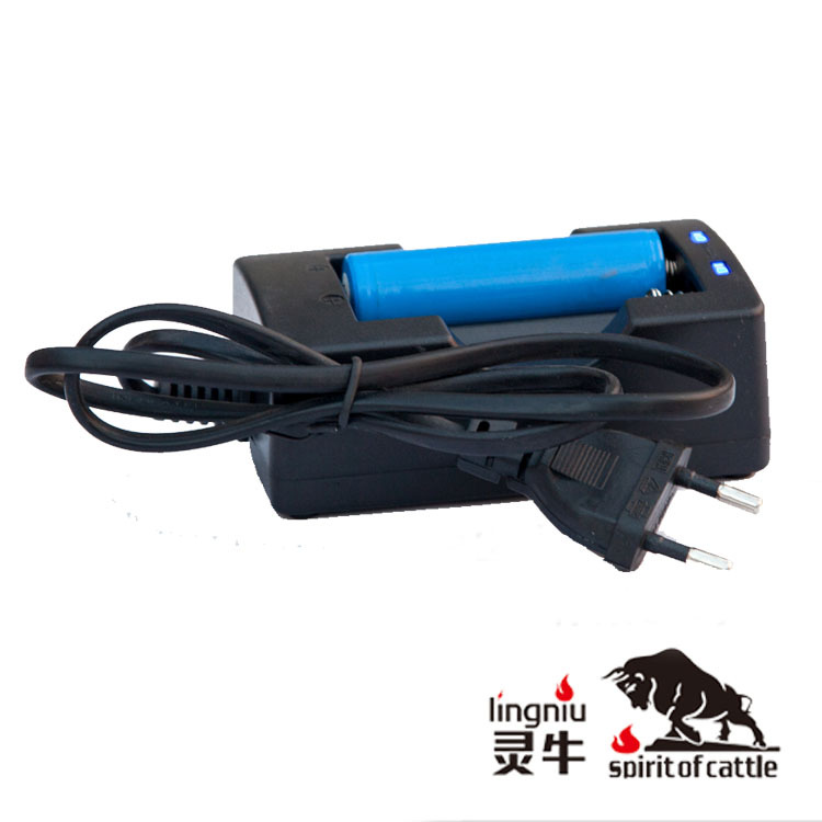 CE FCC 电池充电器 欧规18650双槽充电器 防反充 厂家直供