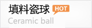 填料球氧化铝球瓷球填料