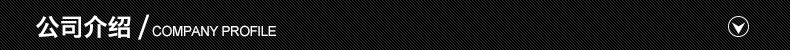 公司介绍
