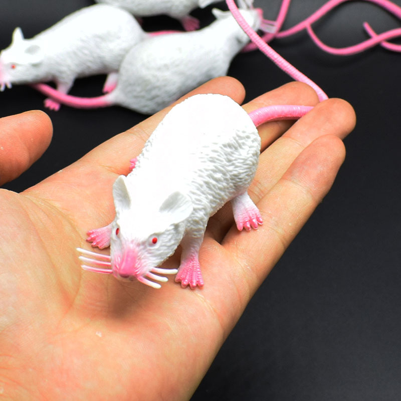 New Strange 22CMPVC White Mouse Toy Prank Toy AliExpress Amazon