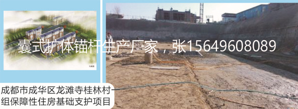 錨桿0015