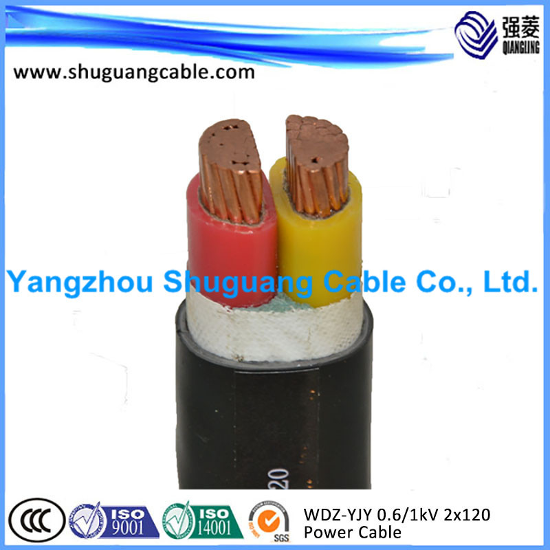 WDZ-YJY 0.6/1KV 2x120低压电力电缆 国标铜芯电缆 安全环保