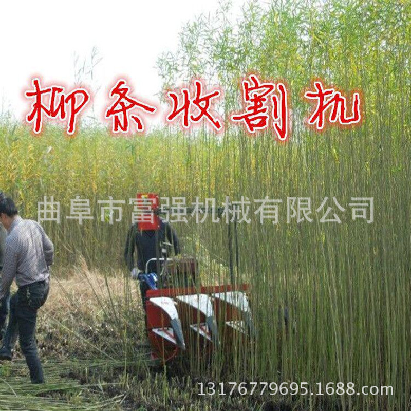 QQ图片20170719165153