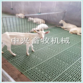 塑料保温羊漏粪板  羊舍用羊床 羊粪板厂家