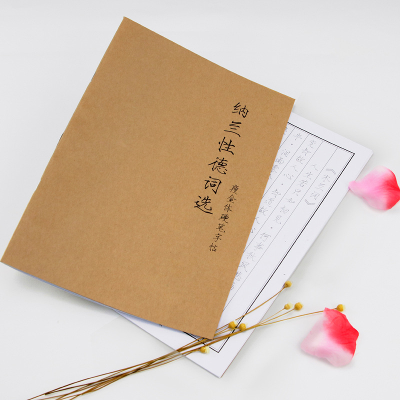 NALANXINGDE CI 컬렉션 성인 펜 COPYBOOK COWHIDE 커버 하드 펜 서예 복사 하드 펜 얇은 골드 바디 선물