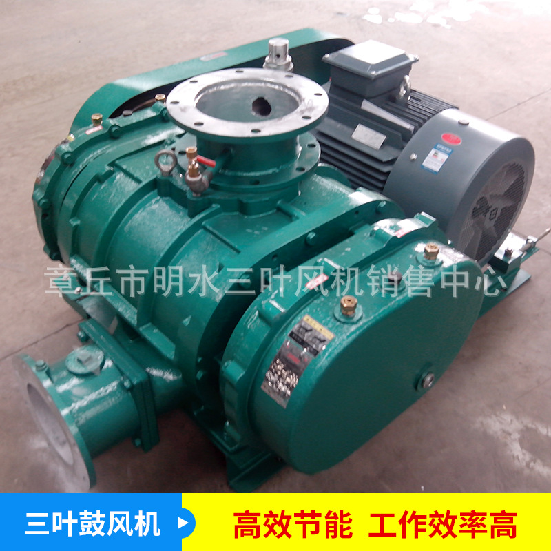 污水行业知名品牌三叶罗茨鼓风机销售噪音低现货高压型罗茨鼓风机