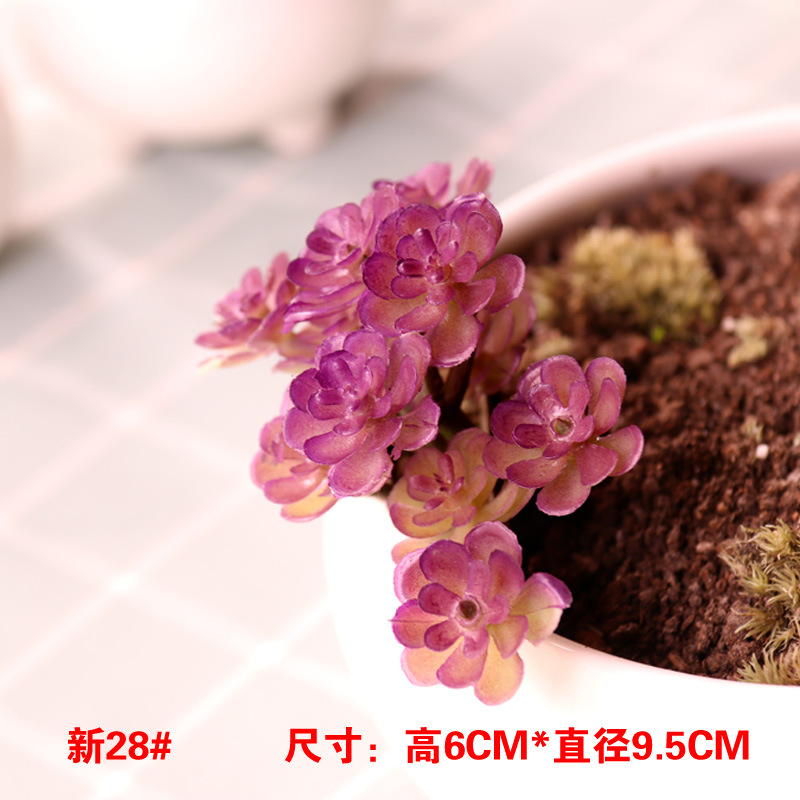 シミュレーション多肉植物卸売り小多肉優品偽緑植壁室内外装飾組み合わせ植毛リアル肉
