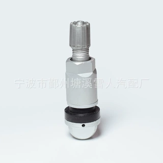 长城汽车专用胎压监测气门嘴 tpms-7铝合金气门嘴 气门嘴