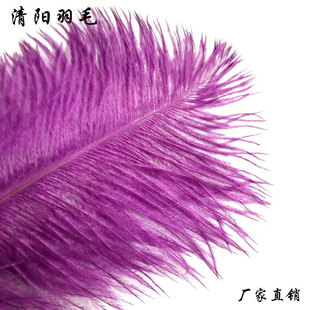 �b��f�}����g��̨���ݵ�����B��ëӲ�U50-55cm��ɫ�F؛����