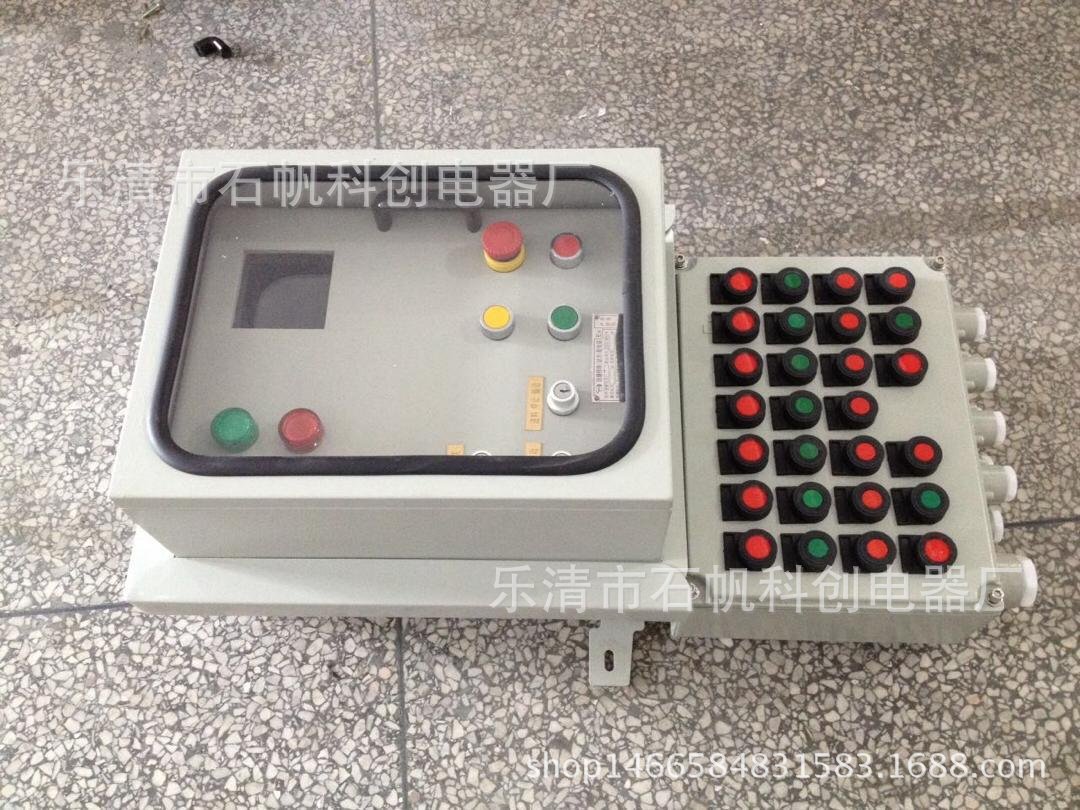 防爆护罩箱 BXK20-30 防爆铁壳开关   BF28159-SZF种子罐控制箱