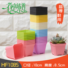 增厚加厚大方批发塑料花盆多彩多肉花盆育苗方盆多肉塑料花盆盆栽