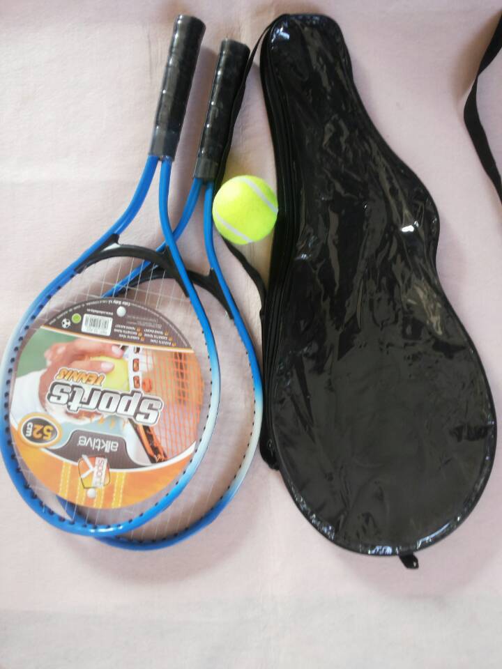 3B7C6573121EEA773AA7A939421E63