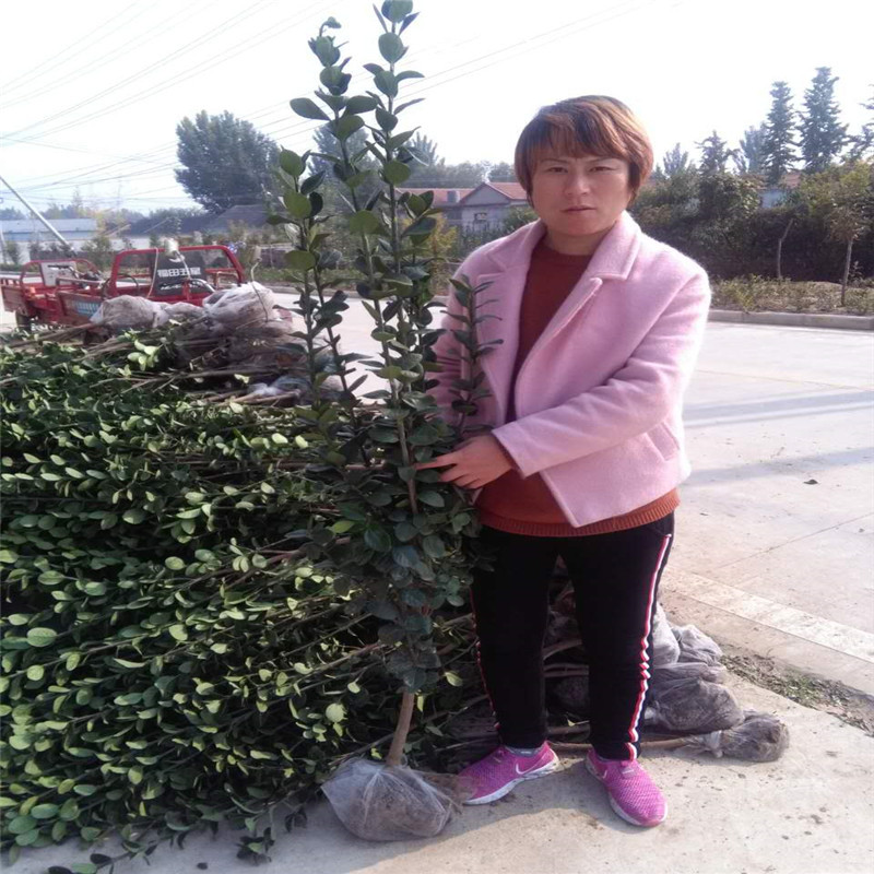 微信图片_20171027151446