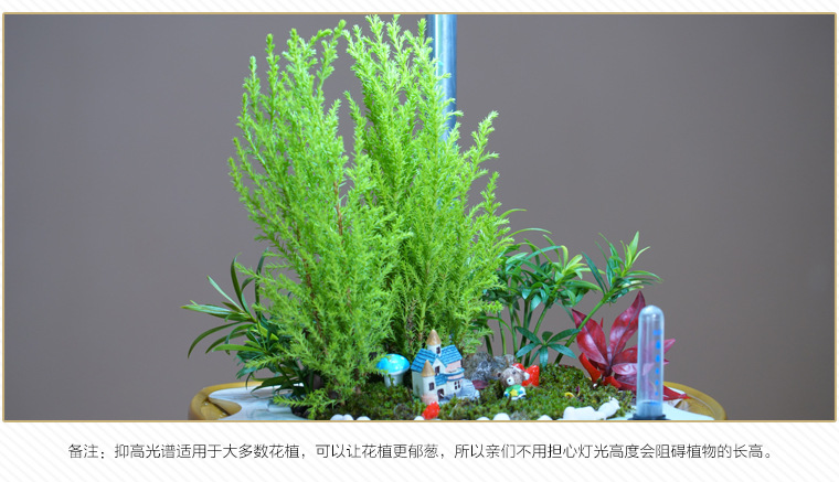 素心智能水培花盆创意个性室内大号永生盆景 白色详情11