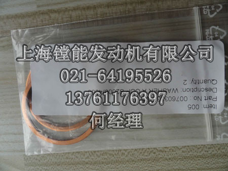 原装进口MTU 007603038101_铜垫