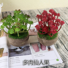 �������ֲ��������ݼٻ����l �J�C�ȸ��N���ֲ��������˹�