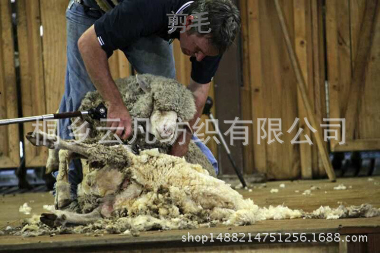 3剪毛