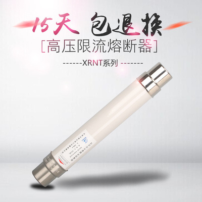 崇山 XRNT-10KV高压熔断器3.15A/5/6.3/10/16/20A高压限流熔断器|ms