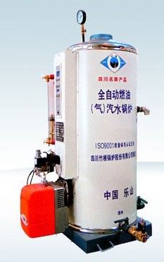 0.2T Gas Soda Dual use Boiler plant extension Zhugen boiler Great Wall