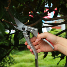 sunsong���ɸ߼��X����֦��@�ּ����@��