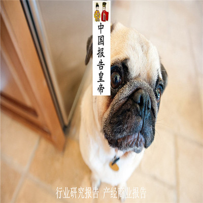 NB-IoT标准及物联网商业化研究报告带宽应用服务