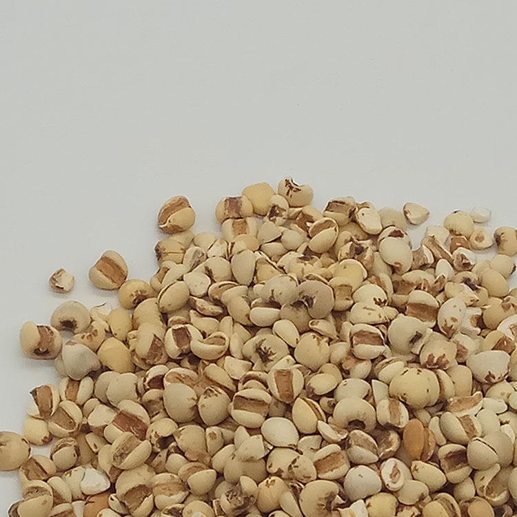 Low Temperature Baked Coix Seed Yi Ren Mi 5 Jin Bulk Job's Tears Grain key features