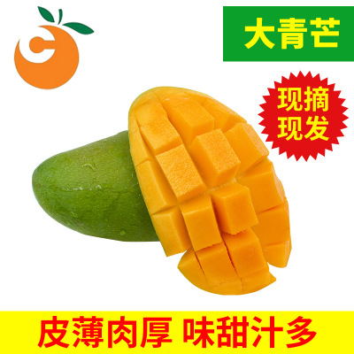 海南三亞新鮮青皮芒果大量新鮮大青芒果5斤裝 大青芒批發