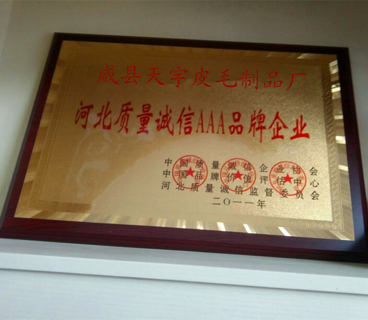 Gilet femme AUTRUCHE ITALIENNE en Gilet de fourrure - Ref 3318414 Image 38