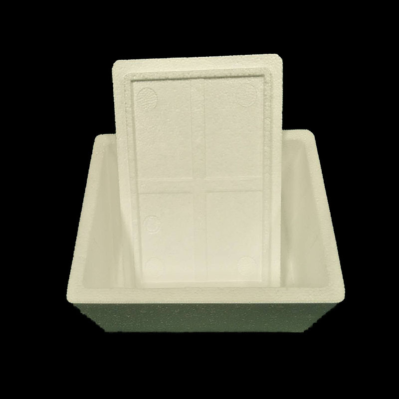 供应东莞大岭山长安虎门保温泡沫箱（效果好，）冷链包装