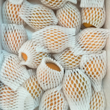 珍珠棉水果网发泡机网套机设备生产线