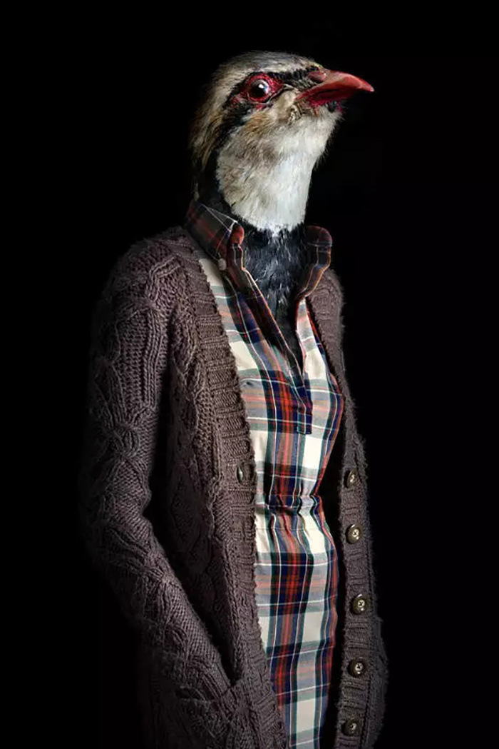 �����װ������������̳��������������չ�᲼�õ���������װ