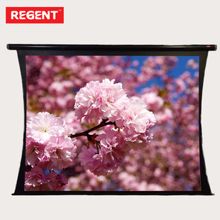 Factory Direct Sales 100 inch 16:9 remote control electric cable screen HD projection screen flat screen tightening screen wholesale