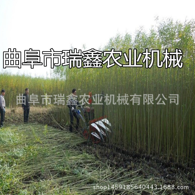 籼稻晚稻割晒机 生产销售芦苇割晒机 开封