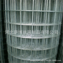 厂家供应涂塑镀锌电焊网荷兰网包塑铁丝网 镀锌铁丝网电焊网