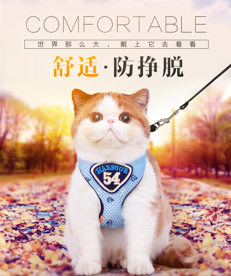 Cats traction Cats rope rope Pets Thoracolumbar band Kitty Thoracolumbar band suit chain Thoracolumbar band