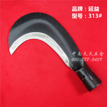 ������313�ݵ�     砵�    ����   �r�õ���   �������