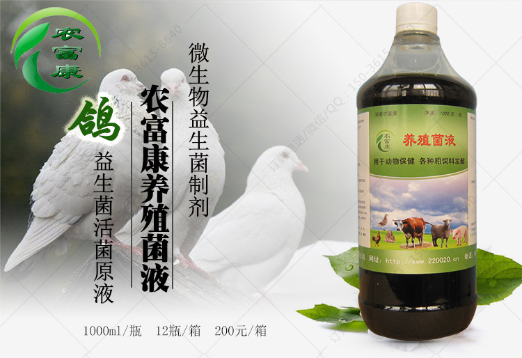 鴿水便綠便益生菌活菌